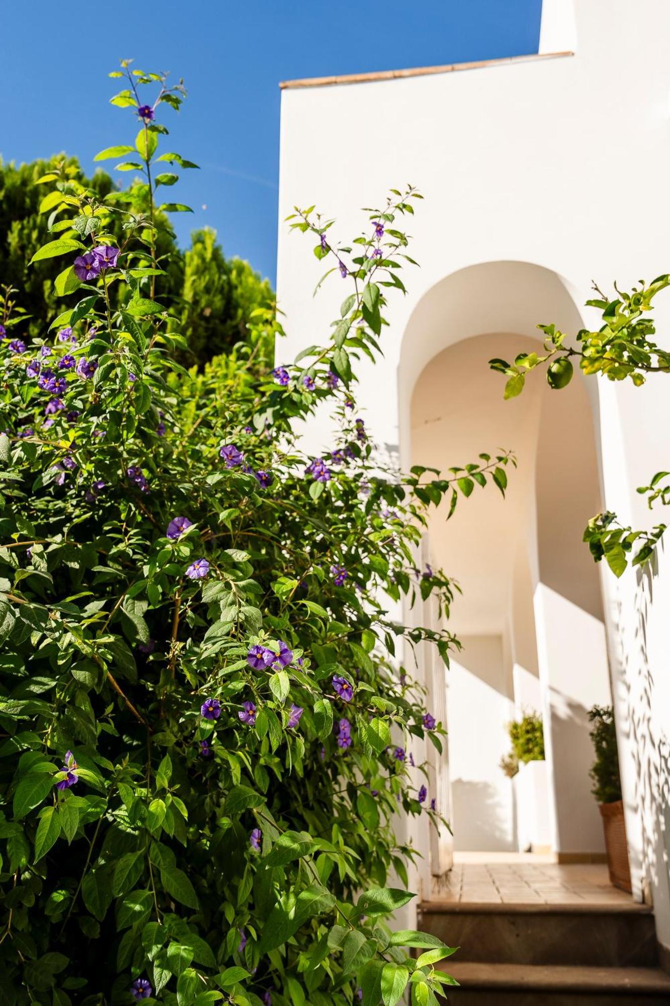Hotel Senaria Anacapri  Exterior photo